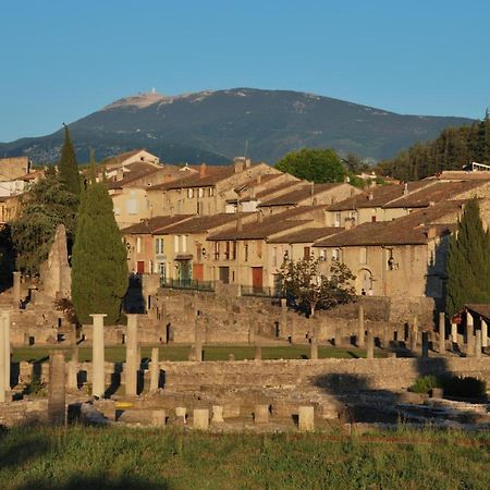 Gite Les Lavandes Vaison-la-Romaine Buitenkant foto