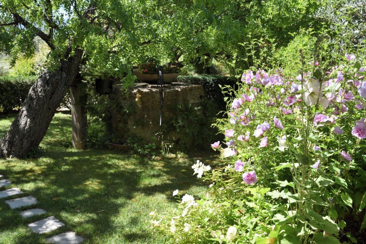 Gite Les Lavandes Vaison-la-Romaine Buitenkant foto