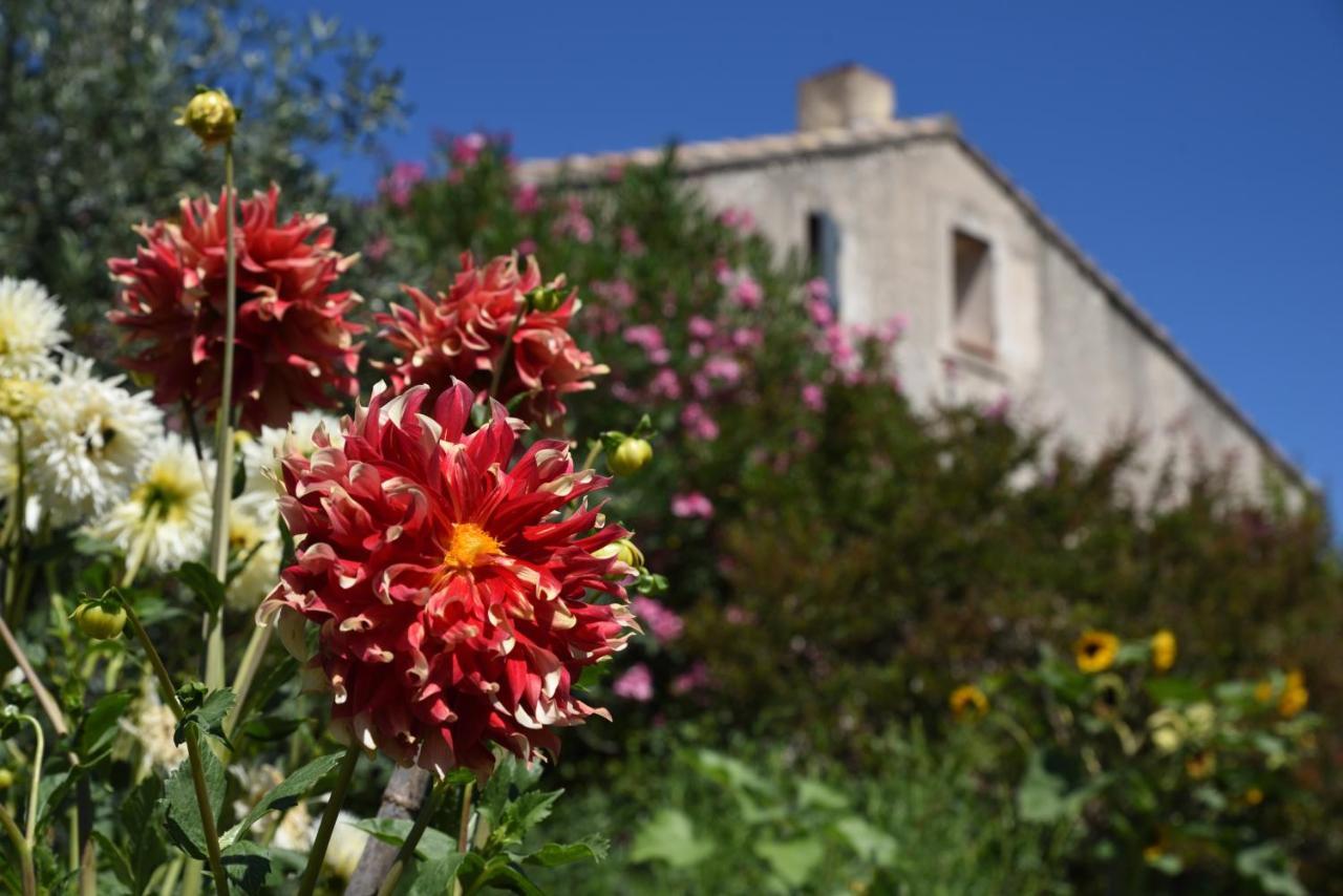 Gite Les Lavandes Vaison-la-Romaine Buitenkant foto
