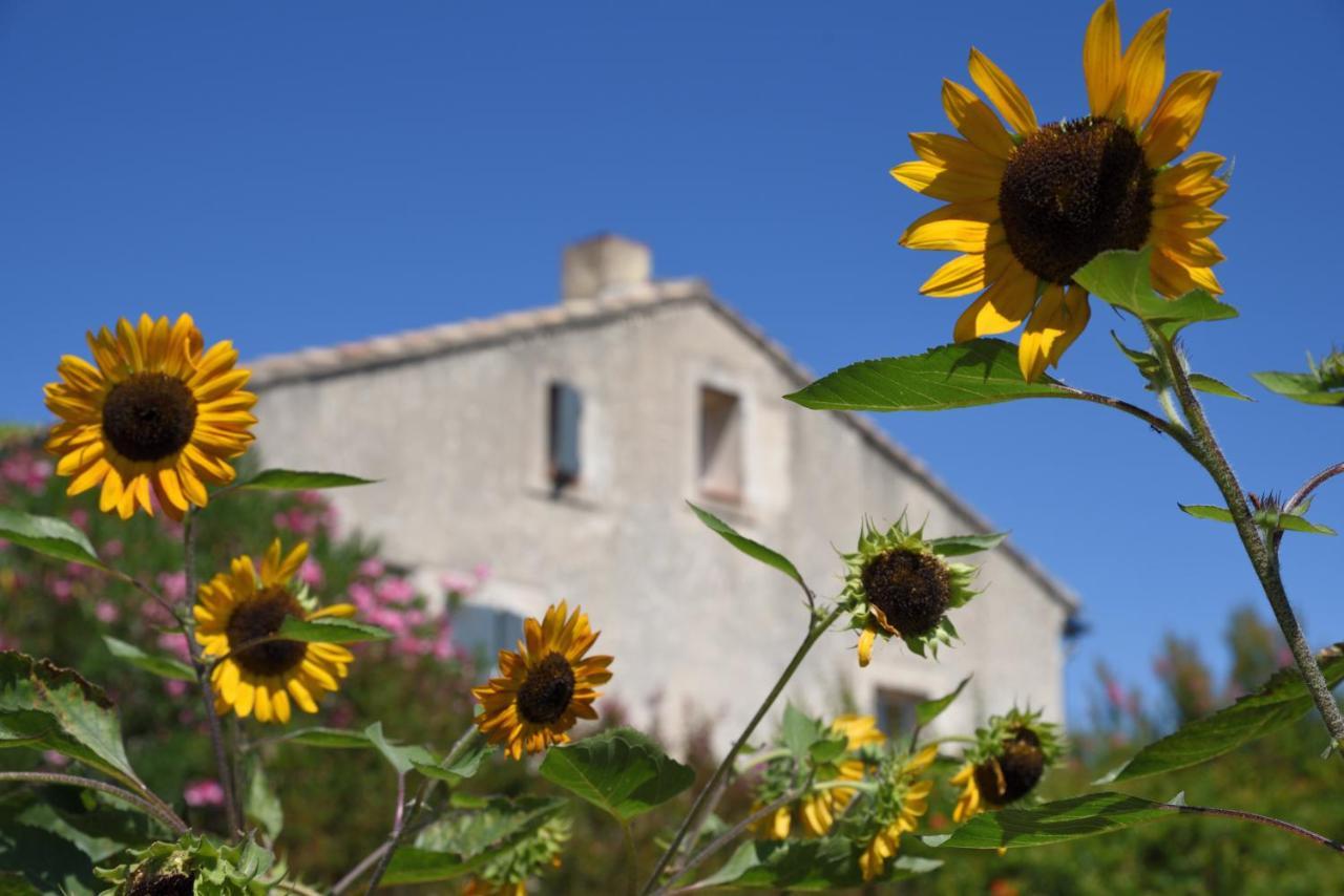 Gite Les Lavandes Vaison-la-Romaine Buitenkant foto