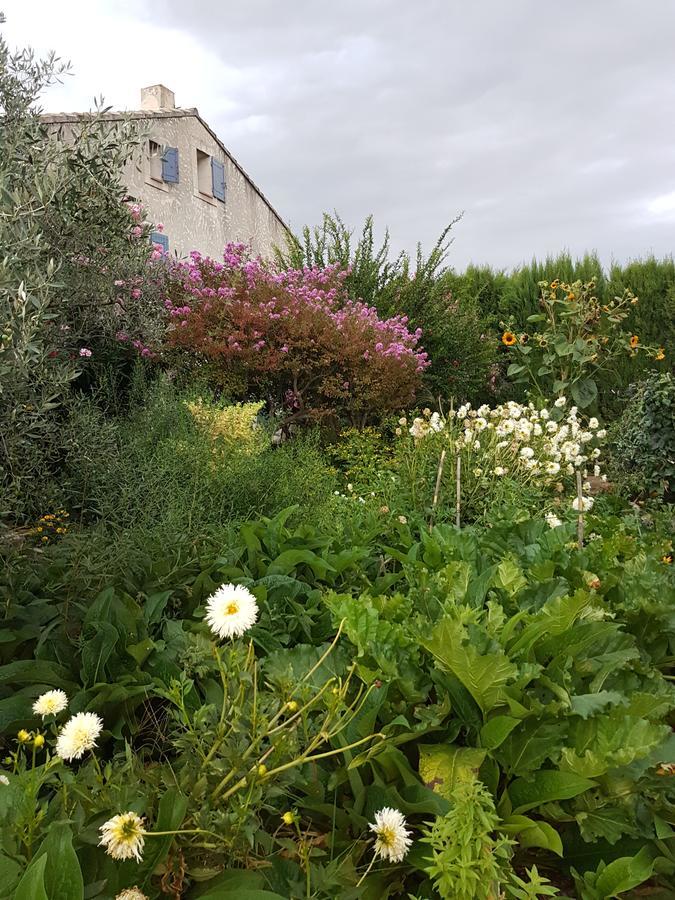 Gite Les Lavandes Vaison-la-Romaine Buitenkant foto