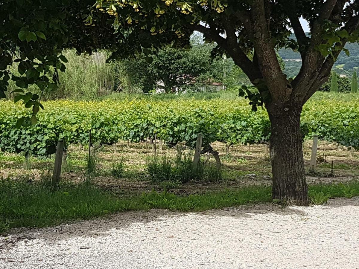 Gite Les Lavandes Vaison-la-Romaine Buitenkant foto