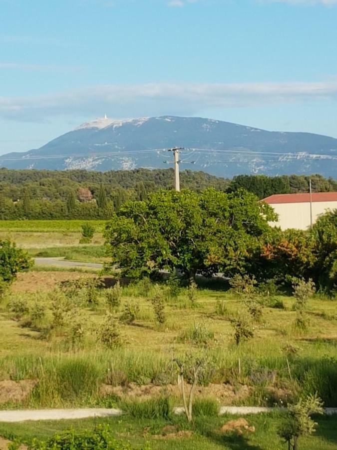 Gite Les Lavandes Vaison-la-Romaine Buitenkant foto