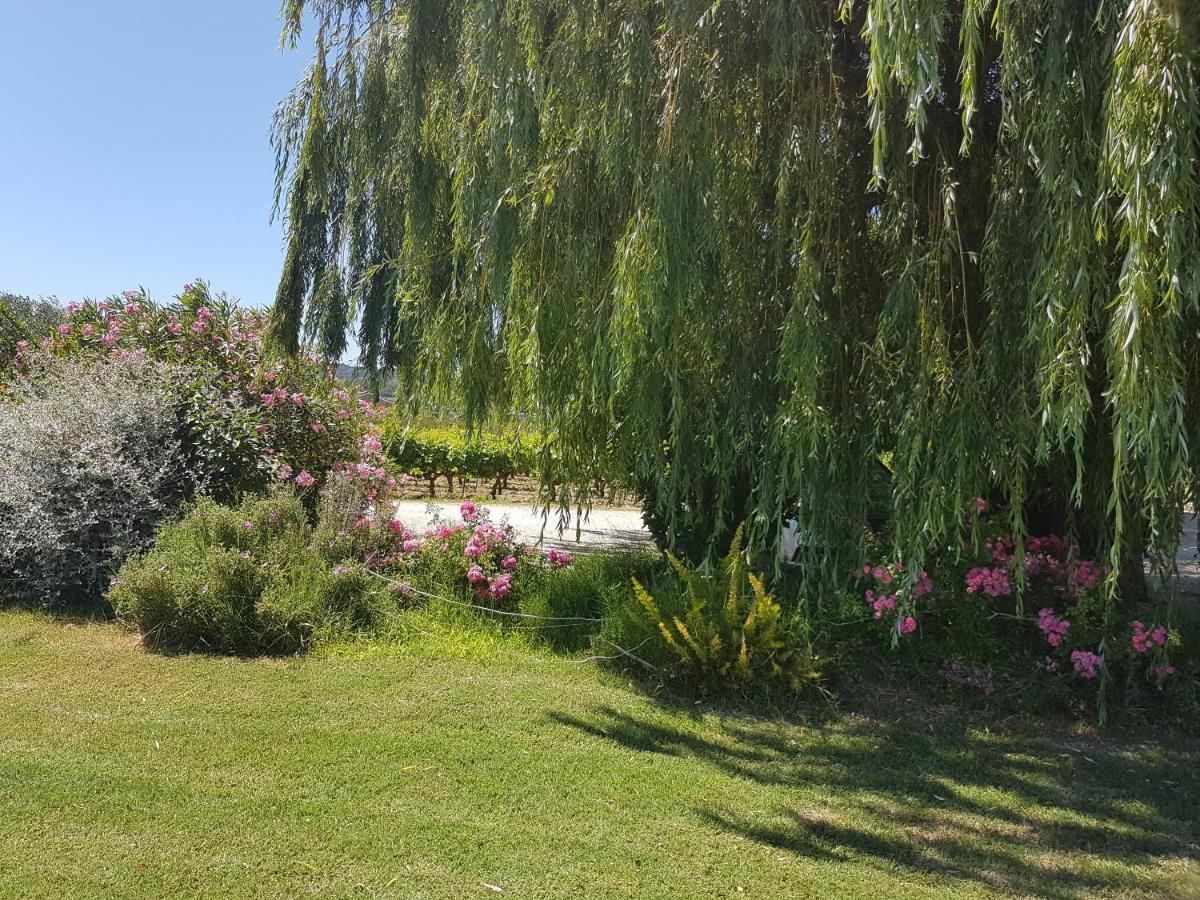 Gite Les Lavandes Vaison-la-Romaine Kamer foto