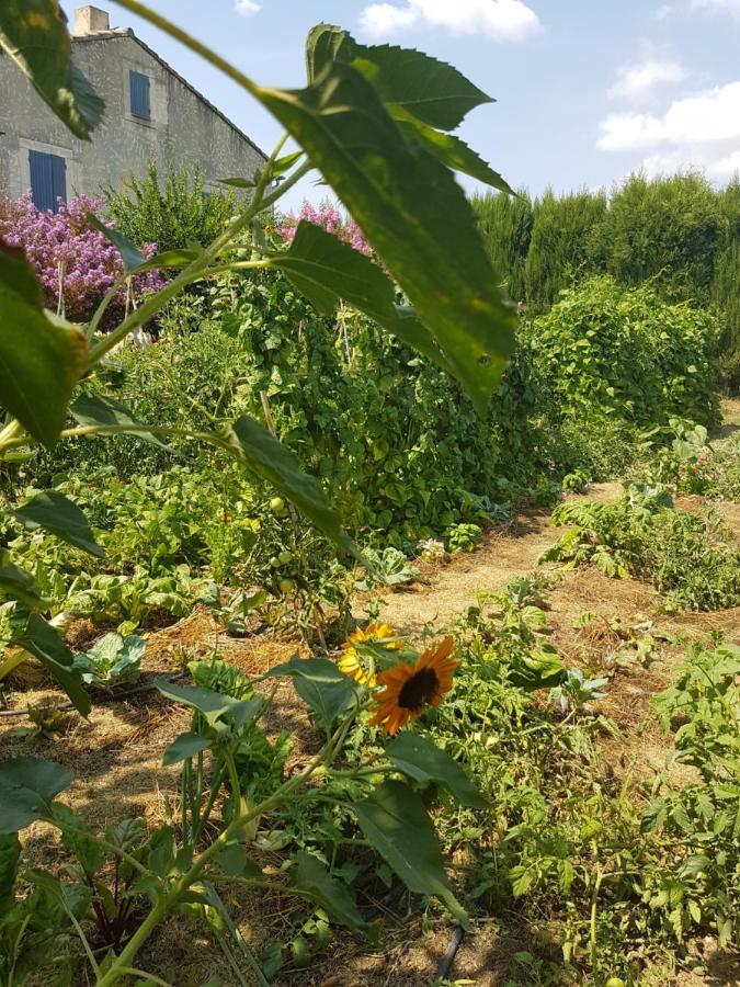 Gite Les Lavandes Vaison-la-Romaine Kamer foto